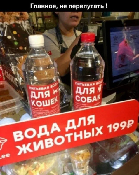 Мем: Главное - не перепутать..., Ashmedai