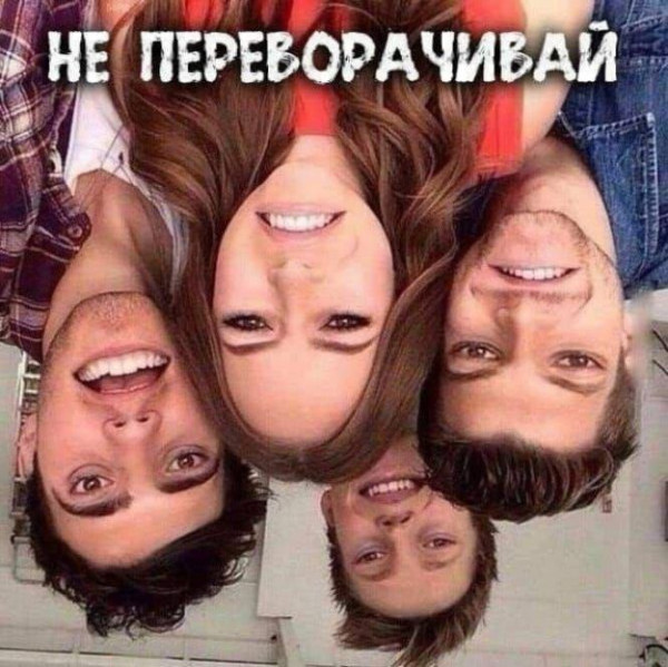 Мем: Написано же - не переворачивать!, koutok
