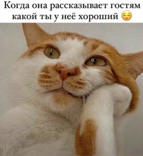 Мем: Позитив, iteam