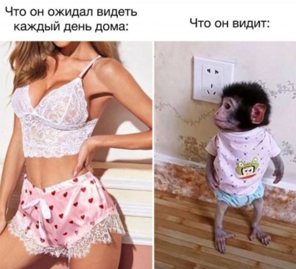 Мем: Прикольчики, iteam