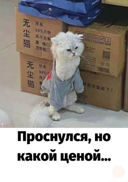 Мем: Смешные картинки, iteam