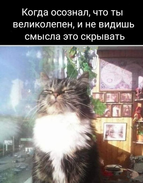 Мем, Рысь Мем, Рысь