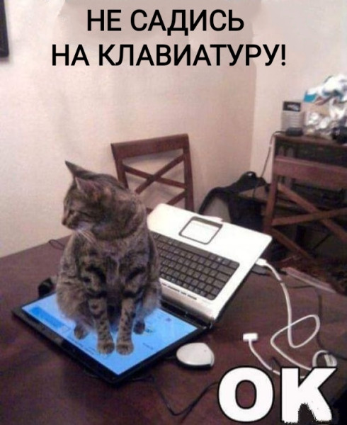 Мем, Рысь Мем, Рысь