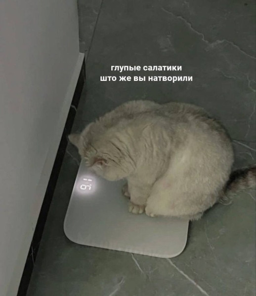 Мем, Смехалка Мем, Смехалка