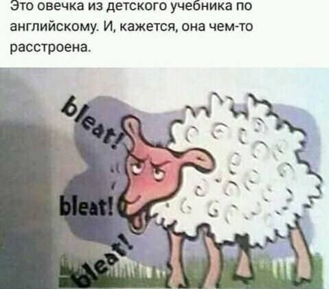 Мем, Ashmedai Мем, Ashmedai