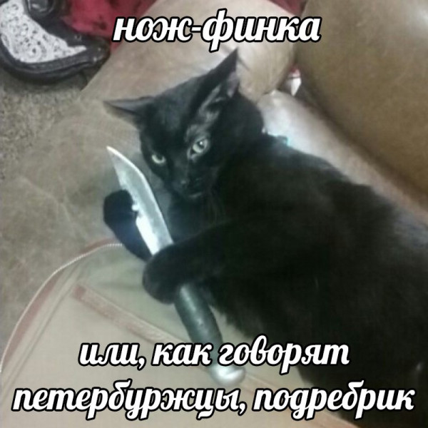 Мем, Ashmedai Мем, Ashmedai