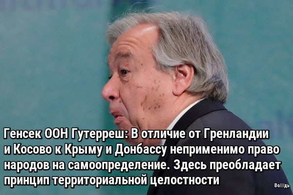 Мем: Когда хапнул этодругина форте и бредишь наяву., Максим Камерер