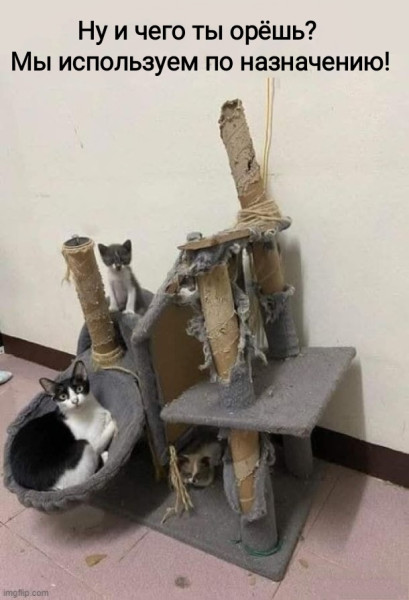 Мем, Рысь Мем, Рысь