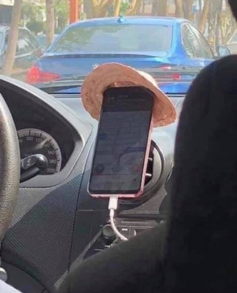 Мем, Ingrid Lovera