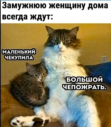 Мем, immar