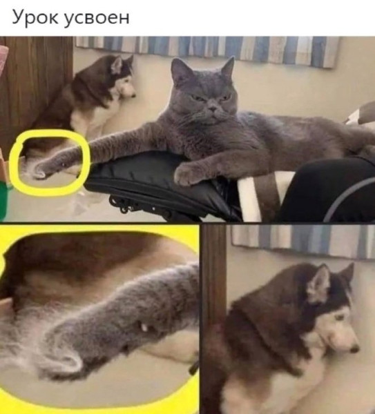 Мем, Смехалка Мем, Смехалка