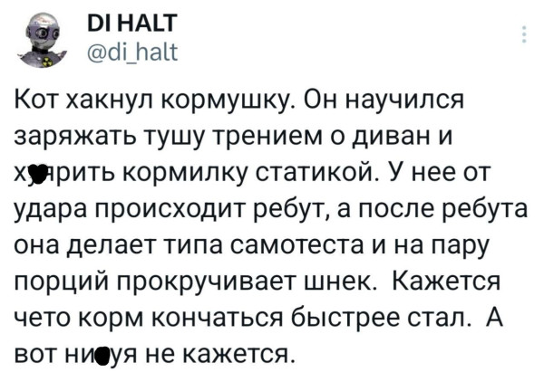 Мем, Максим Камерер