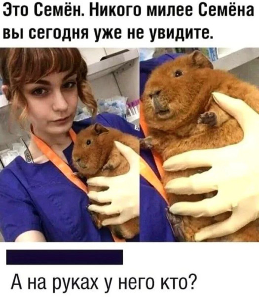Мем, Ashmedai Мем, Ashmedai