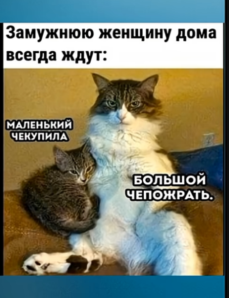 Мем, hop za za Мем, hop za za