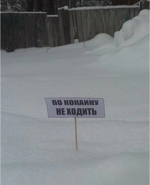 Мем: Где-то в Гренландии, Vovanavsegda