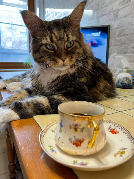 Мем, anberg
