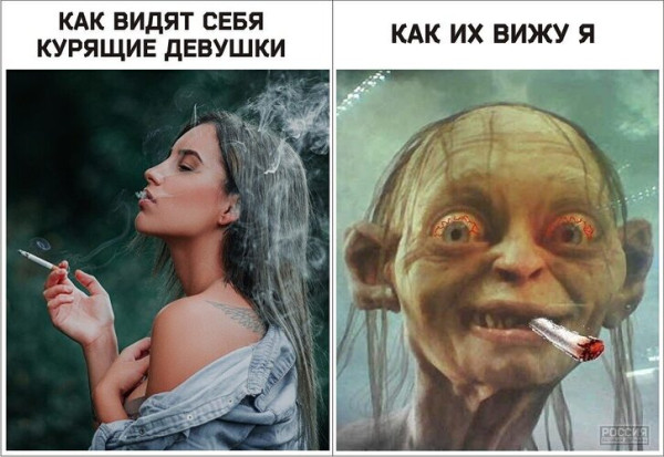 Мем, Алекс Гудков Мем, Алекс Гудков