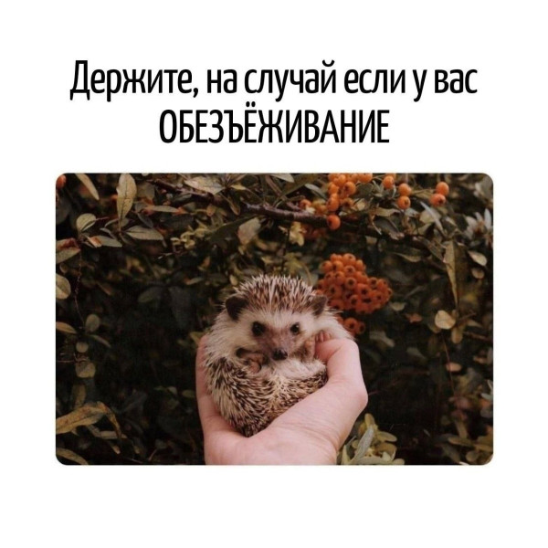 Мем, Bassplayer Мем, Bassplayer