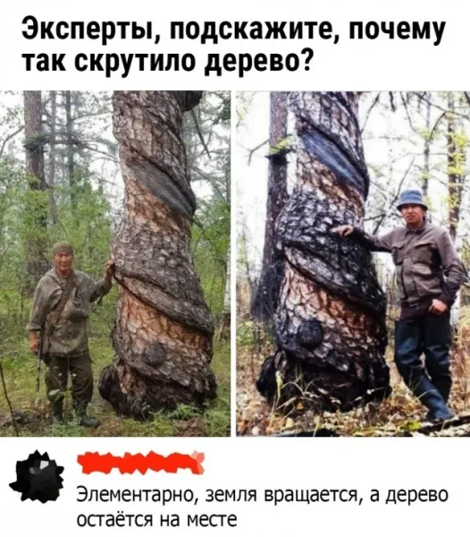 Мем, Bassplayer