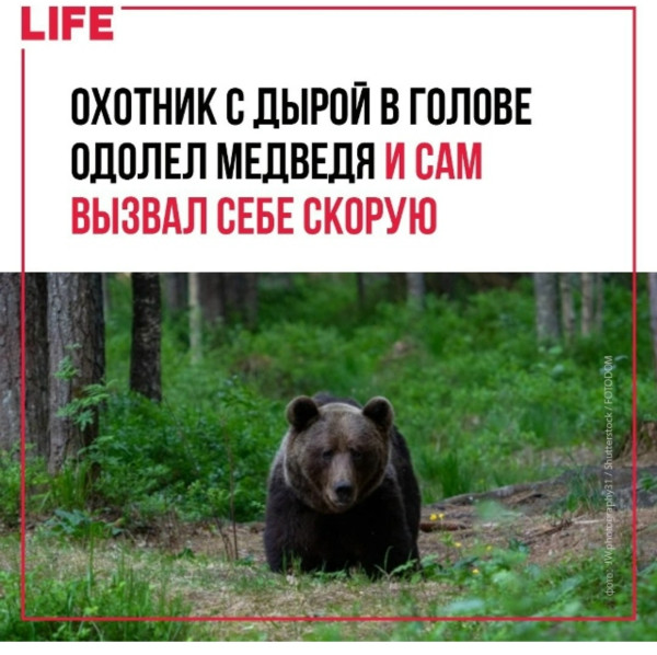Мем: Охотник с дырой в голове одолел медведя Мем: Охотник с дырой в голове одолел медведя