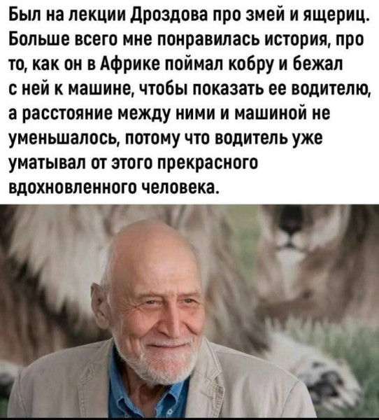 Мем, Ashmedai Мем, Ashmedai