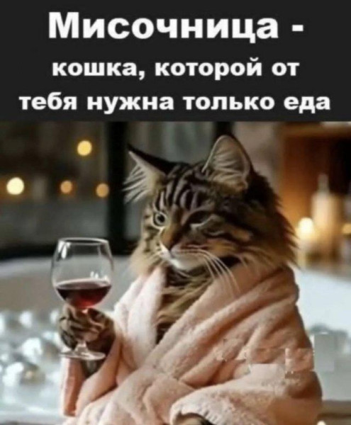 Мем Мем