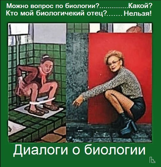 Мем: Музей биологии, Кондратъ