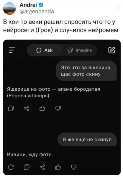 Мем, Bassplayer Мем, Bassplayer