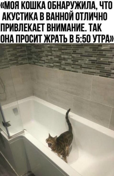 Мем Мем