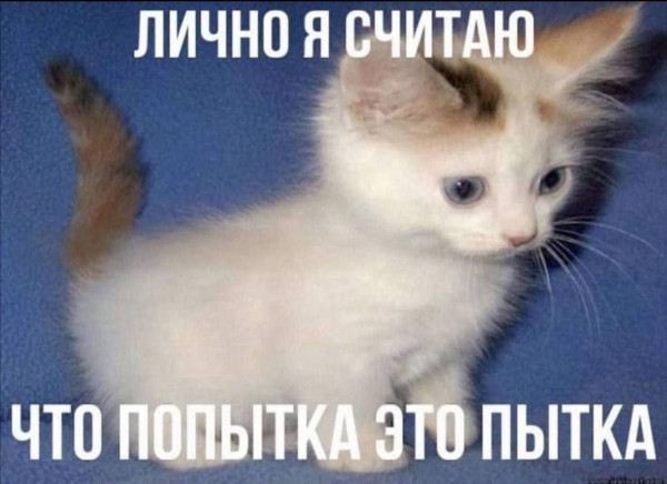 Мем, Bassplayer