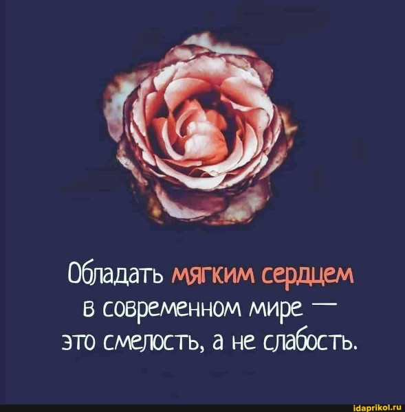 Мем, Алекс Гудков Мем, Алекс Гудков