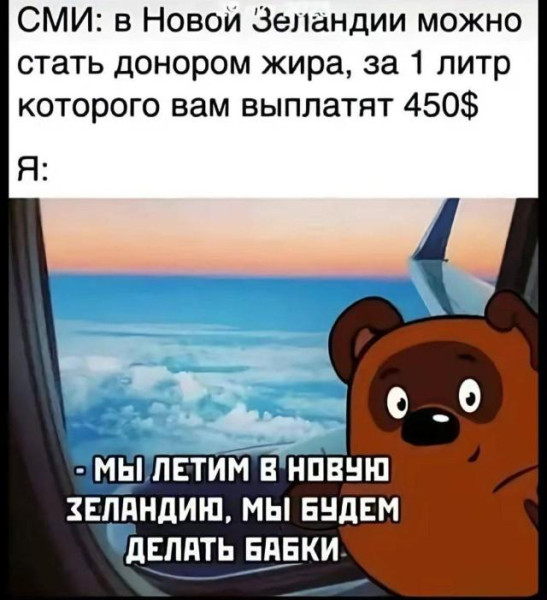 Мем, Антиклептократ