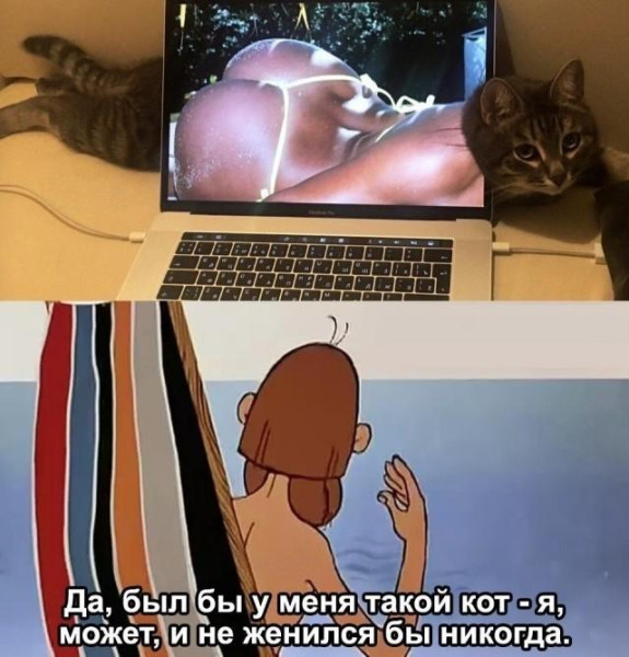Мем, Антиклептократ