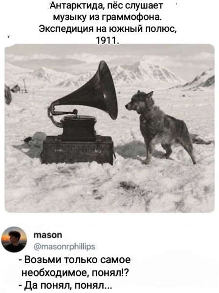 Мем, Рысь
