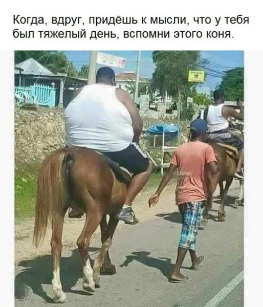 Мем Мем