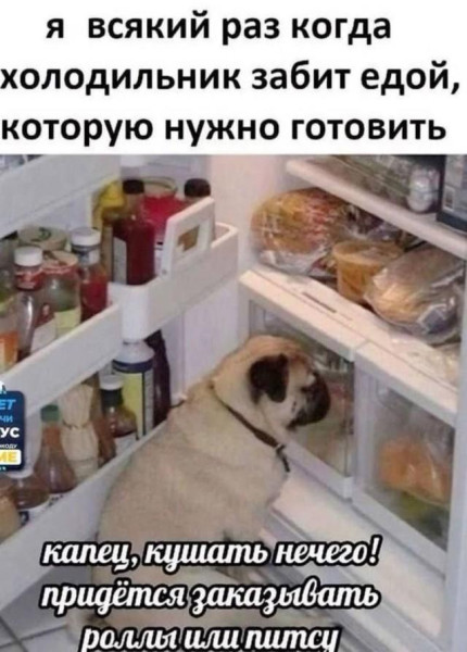 Мем: я, всякий раз,, Антиклептократ