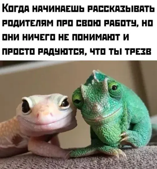 Мем, Bassplayer