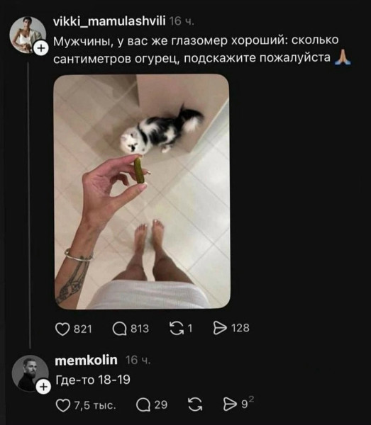Мем, Bassplayer Мем, Bassplayer