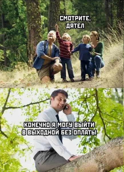 Мем, ABRASIVE Мем, ABRASIVE