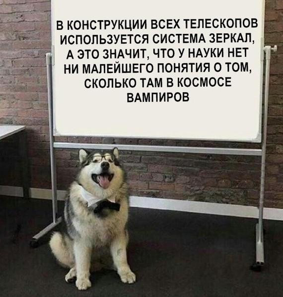 Мем, Bassplayer Мем, Bassplayer