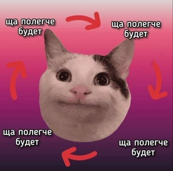Мем, FDio Мем, FDio