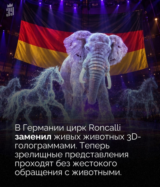 Мем, Алекс Гудков Мем, Алекс Гудков