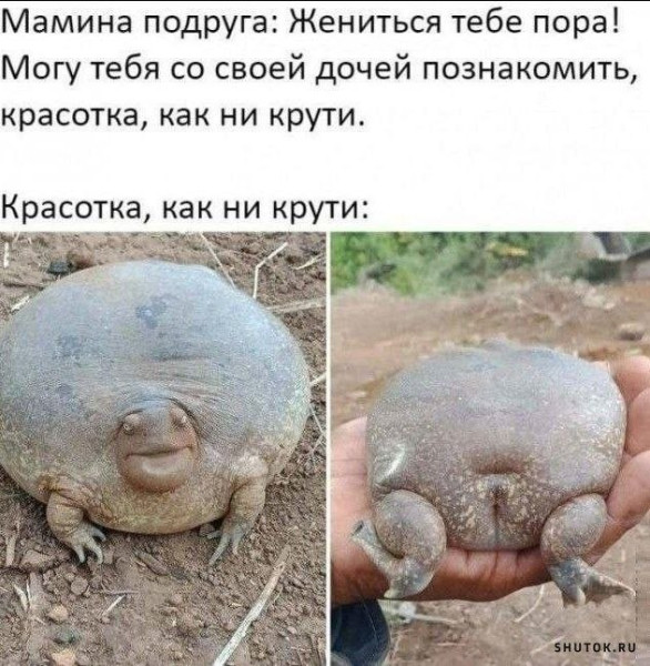 Мем, Ashmedai Мем, Ashmedai
