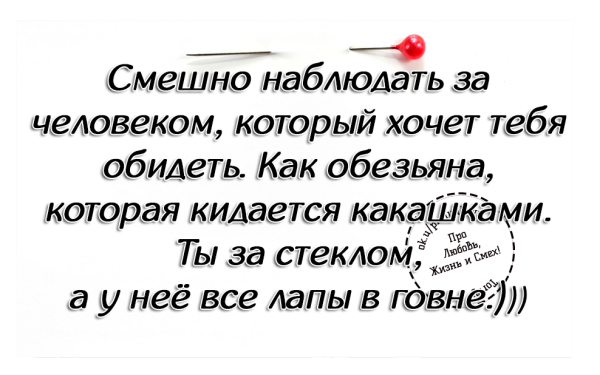 Мем, Алекс Гудков Мем, Алекс Гудков