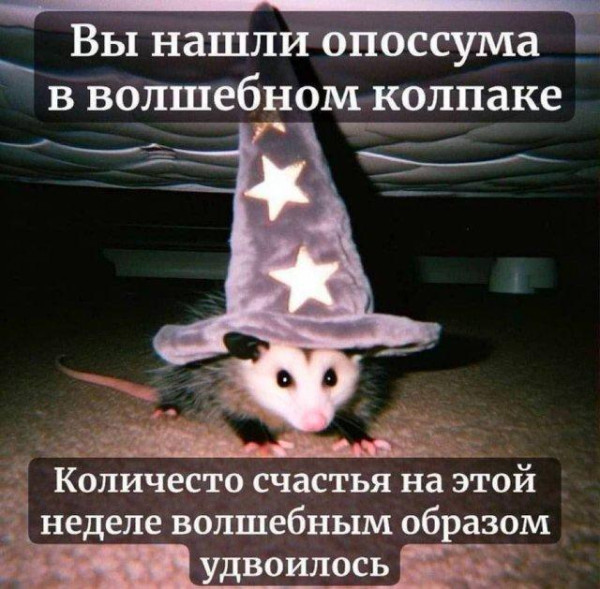 Мем, Антиклептократ Мем, Антиклептократ