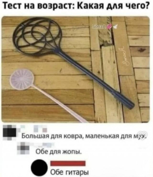 Мем, Антиклептократ Мем, Антиклептократ
