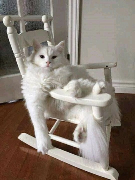 Мем, Александр Скоро Мем, Александр Скоро