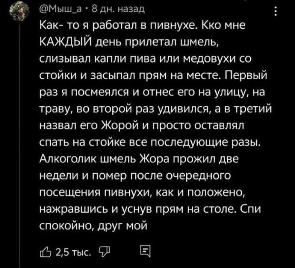 Мем, Bassplayer Мем, Bassplayer