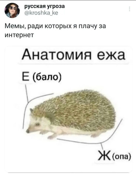 Мем, Bassplayer Мем, Bassplayer