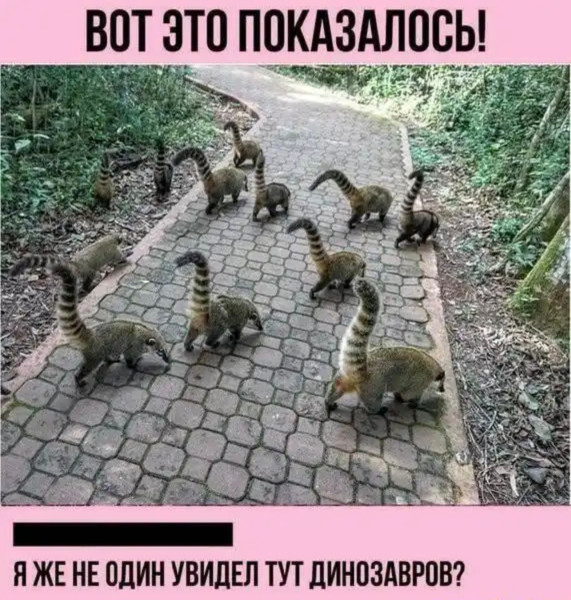 Мем, Bassplayer Мем, Bassplayer